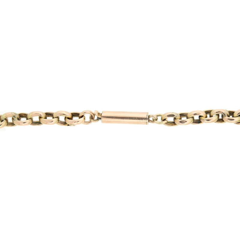 Edwardian 18k/Platinum Sapphire + Rose Cut Diamond Horseshoe Pendant Necklace