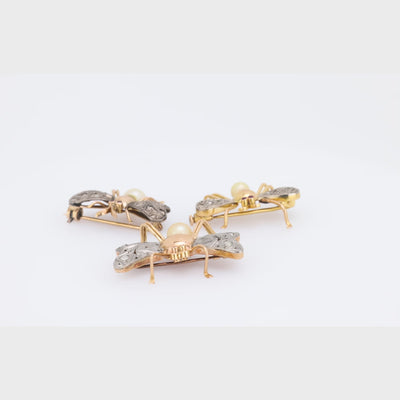 Retro 14k/Sterling Silver Ruby, Diamond, and Pearl Bug Pin Set
