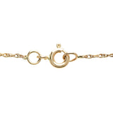 Victorian Petite 14kt Rose Cut Diamond Star Pendant & Chain