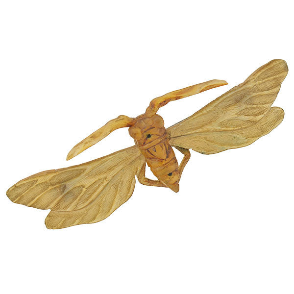 Art Nouveau French Carved Horn Winged Insect Pin