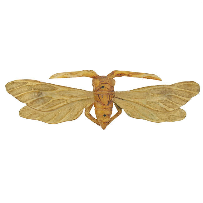 Art Nouveau French Carved Horn Winged Insect Pin
