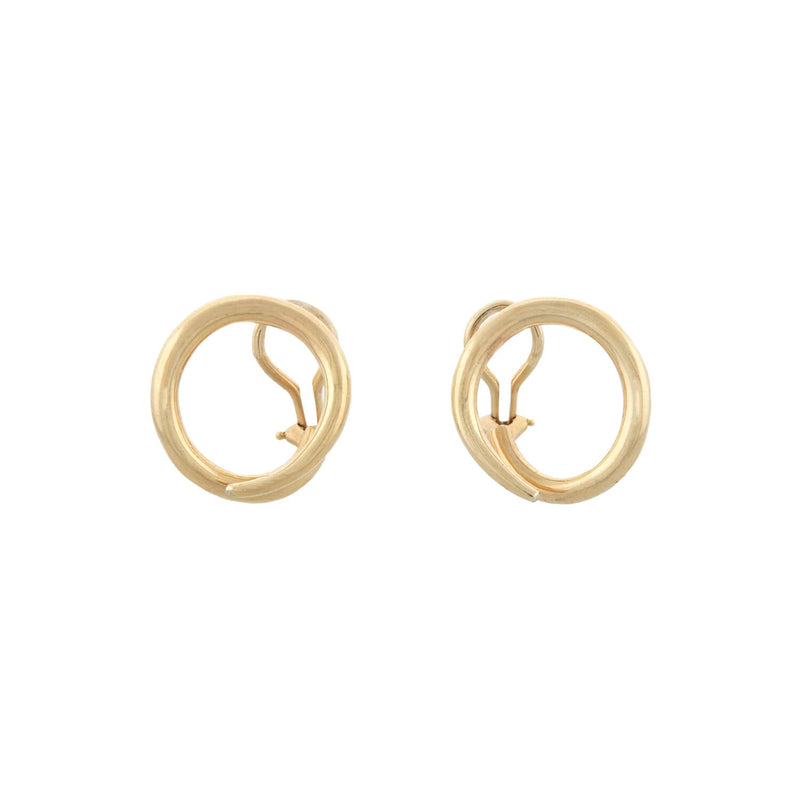 Aldo mens deals earrings
